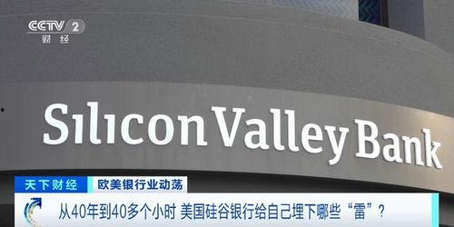 硅谷银行最新爆料,揭秘科技巨头融资内幕
