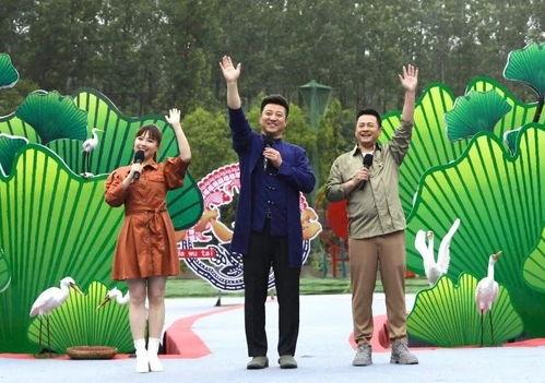 迷蝶岛最新爆料视频,神秘岛屿探险之旅即将开启！